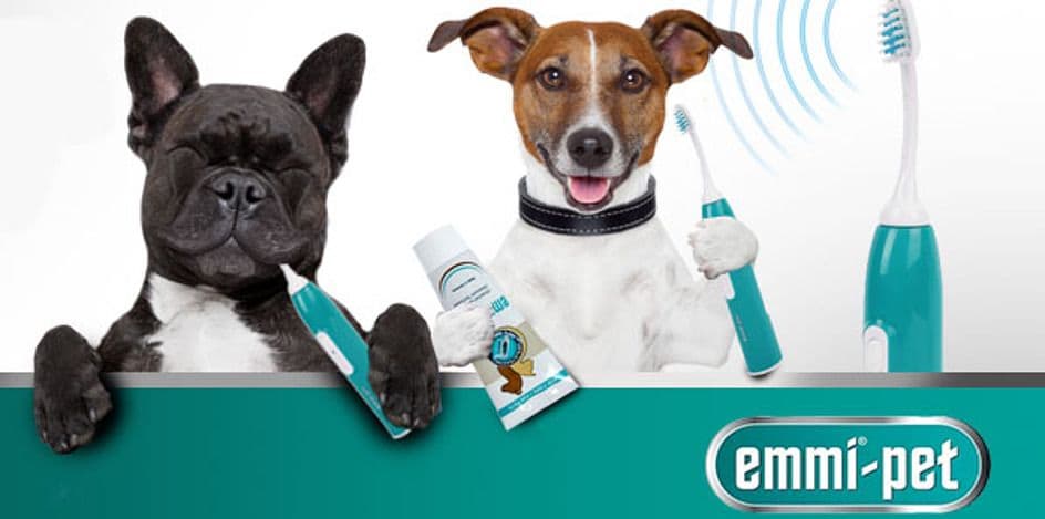 Emmi-Pet Teeth Cleaning Image