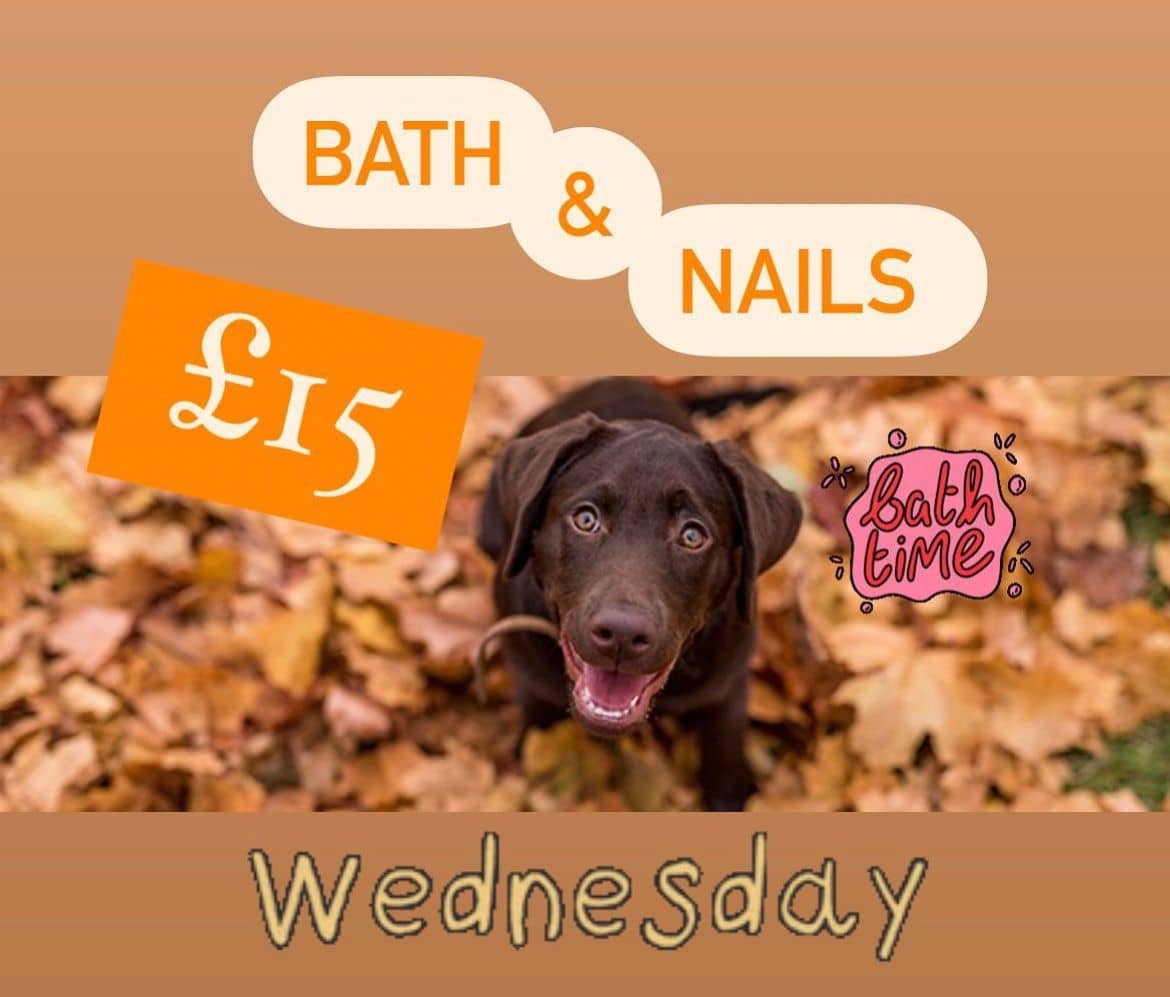 Bath and nails for £15 every Wednesday