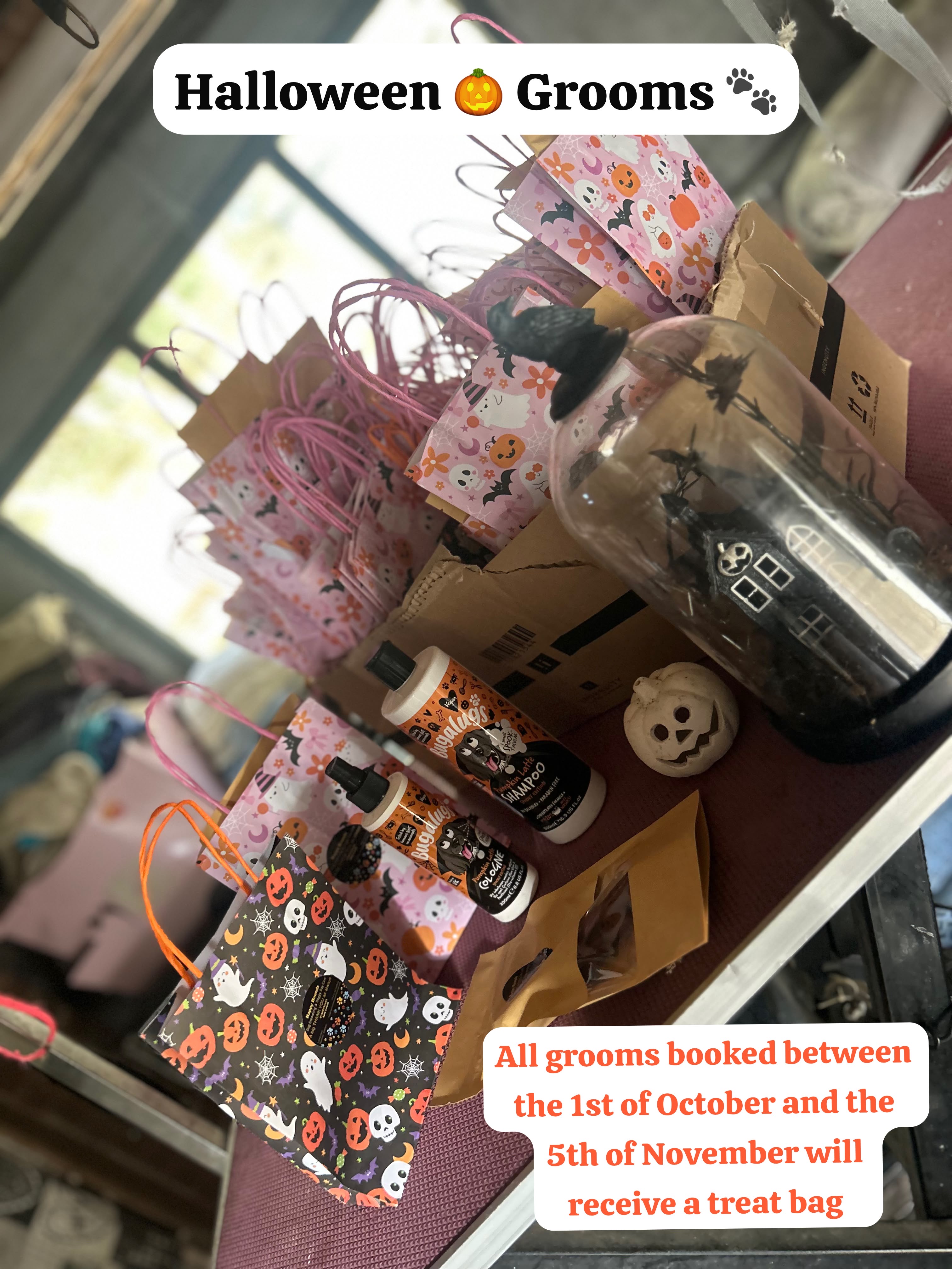 Halloween Grooms. All grooms booked between the 1st October 2026 and the 5th November 2026 will receive a treat bag.