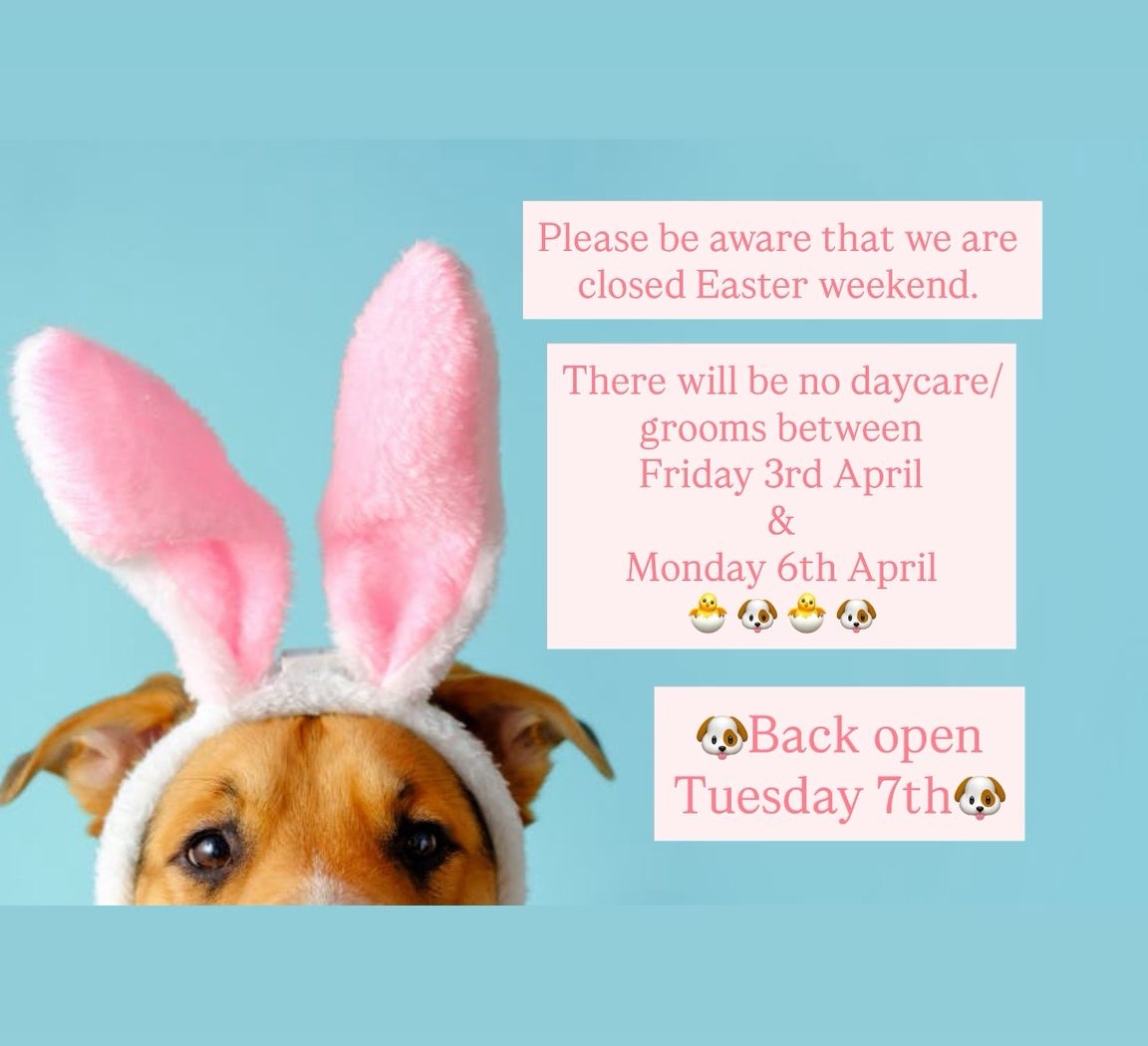 Please be aware that we are closed Easter weekend. There will be no daycare or grooms between Friday 3rd April and Monday 6th April. Back open on Tuesday 7th April.