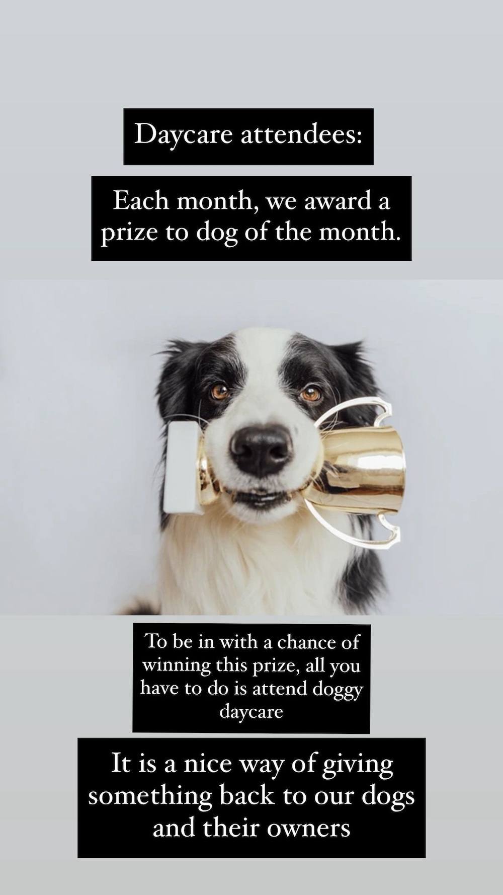 Award Image