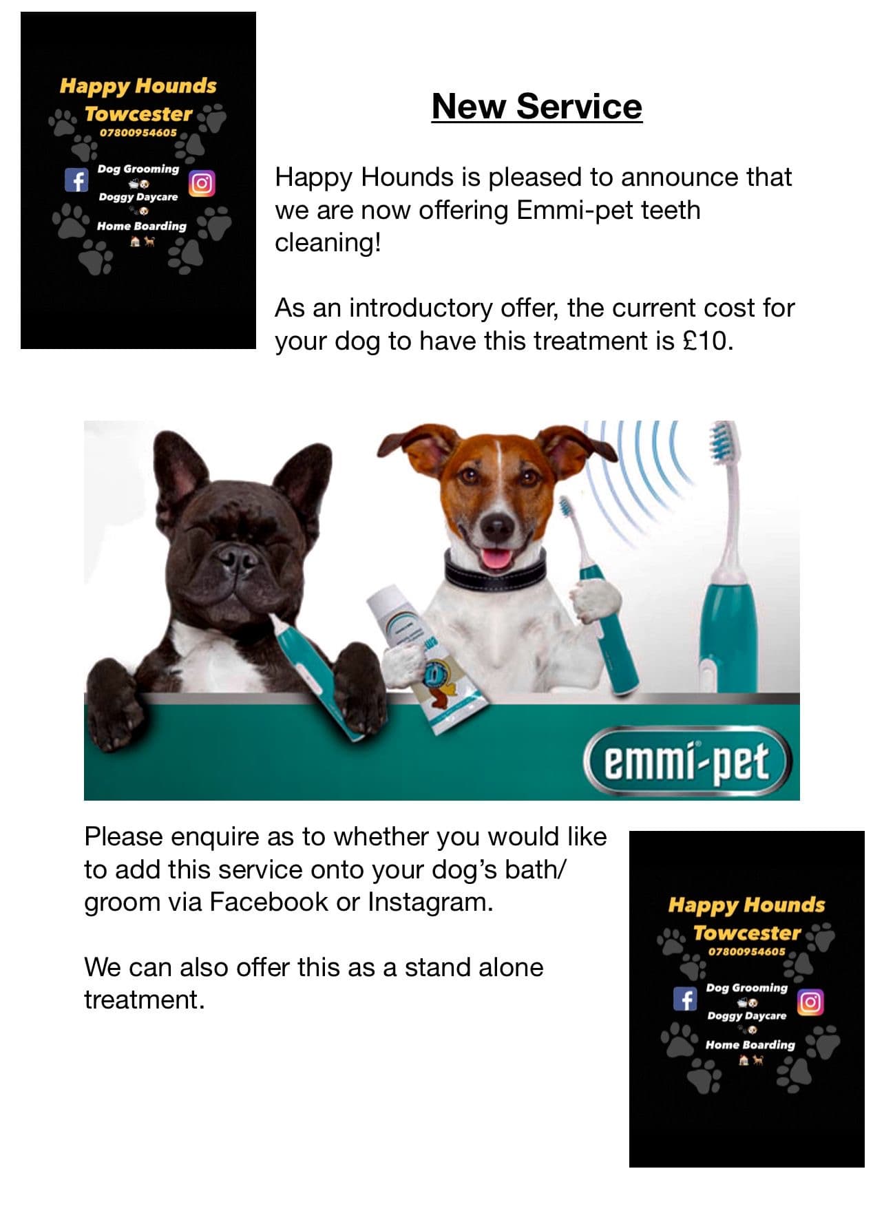 Emmi-Pet Teeth Cleaning image