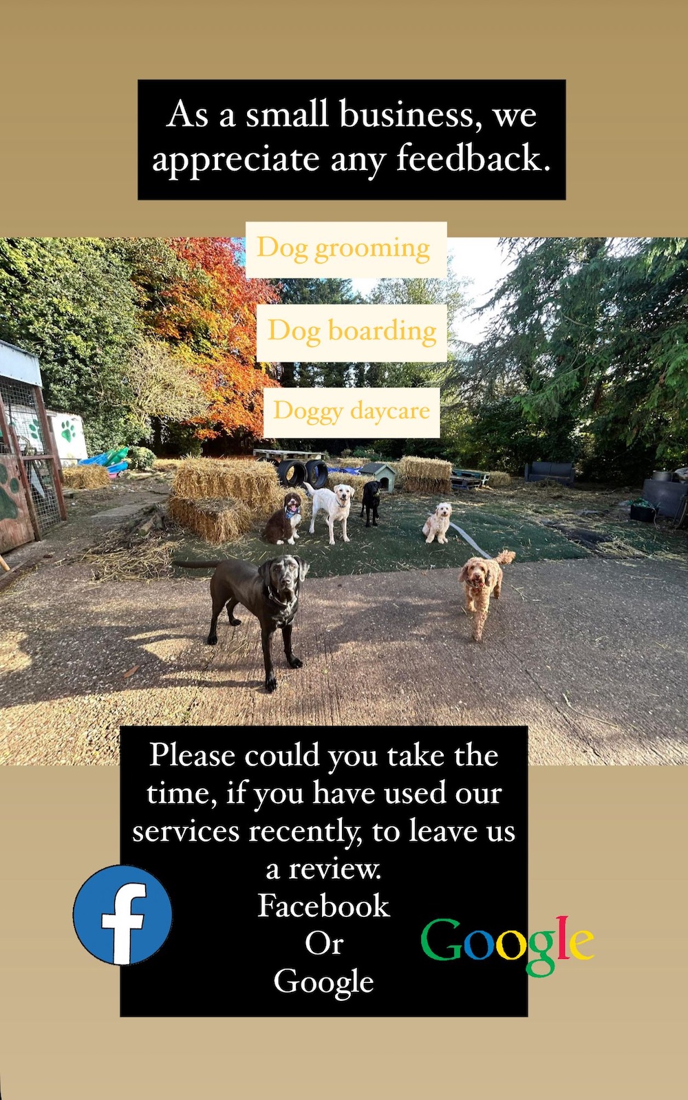 Feedback Image