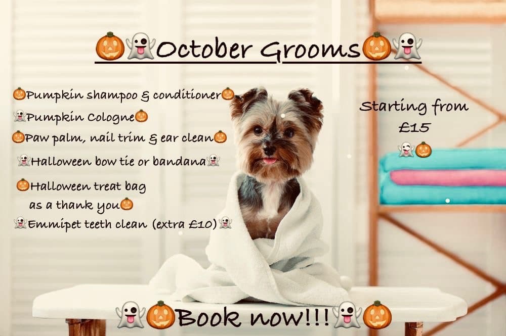 October grooms offer image