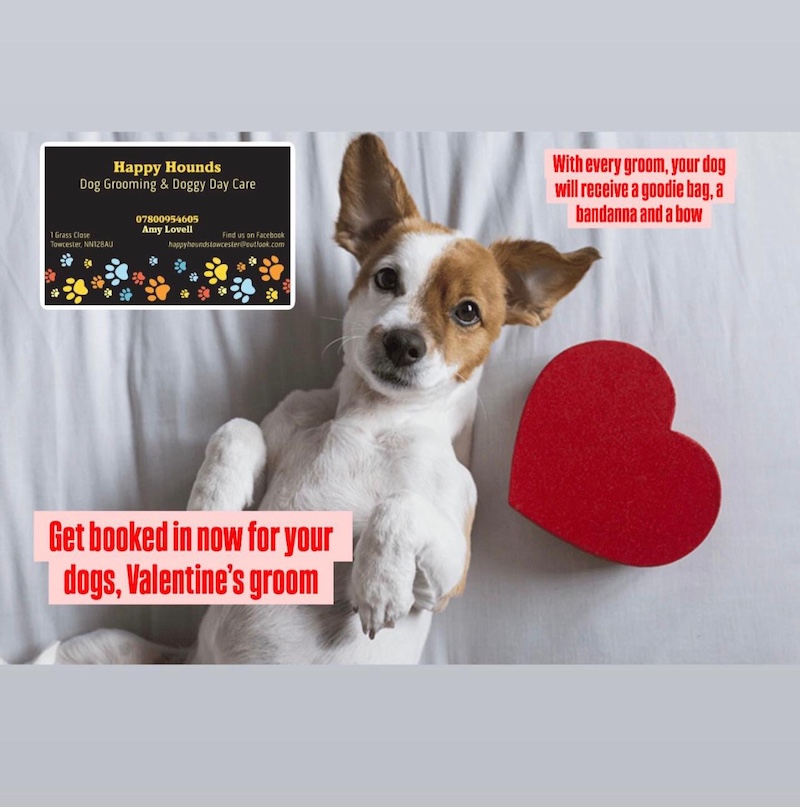 A promotion image that says, get booked in now for your dogs valentines groom. With every groom, your dog will receive a goodie bag, a bandana and a bow.