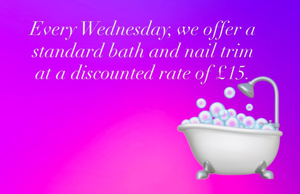 Image of an offer, every Wednesday a standard bath and nail trim at a discounted rate of £15